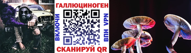 Псилоцибиновые грибы прущие грибы Качканар